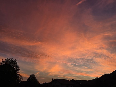 foto:Tatjana Bogdan Sečnik