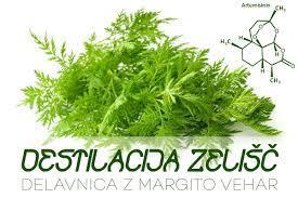 Destilacija zelišč