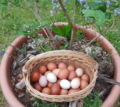 received_164179525849136